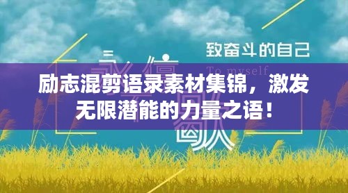 励志混剪语录素材集锦，激发无限潜能的力量之语！