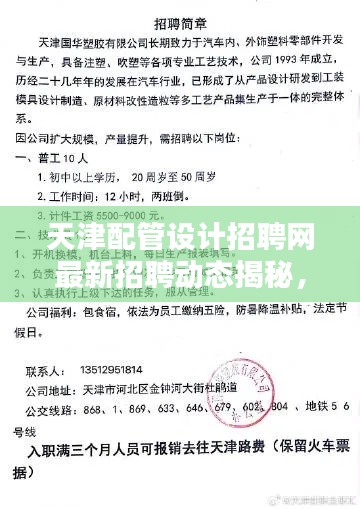 天津配管设计招聘网最新招聘动态揭秘，职位更新与求职指南