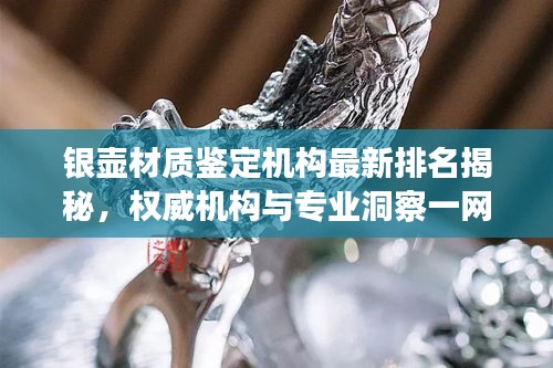 银壶材质鉴定机构最新排名揭秘，权威机构与专业洞察一网打尽