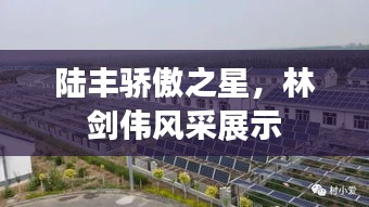 陆丰骄傲之星，林剑伟风采展示
