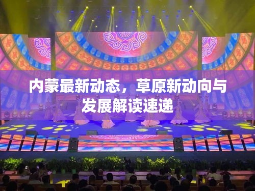 内蒙最新动态，草原新动向与发展解读速递