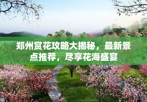 郑州赏花攻略大揭秘，最新景点推荐，尽享花海盛宴