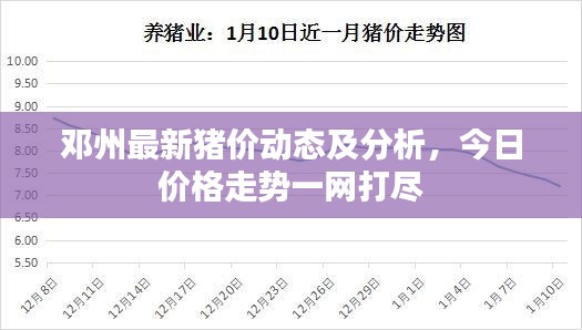 邓州最新猪价动态及分析，今日价格走势一网打尽