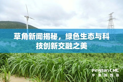 草角新闻揭秘，绿色生态与科技创新交融之美