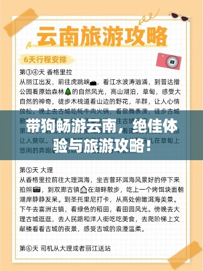 带狗畅游云南，绝佳体验与旅游攻略！