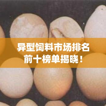 2025年5月27日 第3页