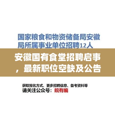 安徽国有食堂招聘启事，最新职位空缺及公告