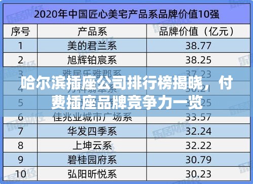哈尔滨插座公司排行榜揭晓，付费插座品牌竞争力一览
