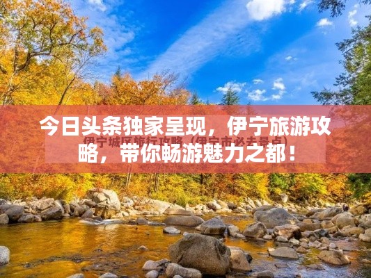 今日头条独家呈现，伊宁旅游攻略，带你畅游魅力之都！