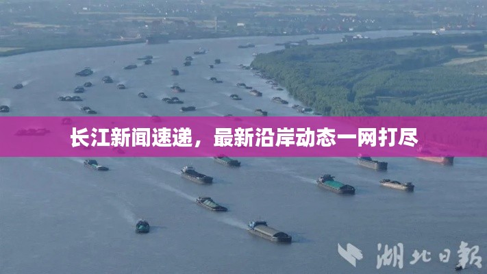 长江新闻速递，最新沿岸动态一网打尽