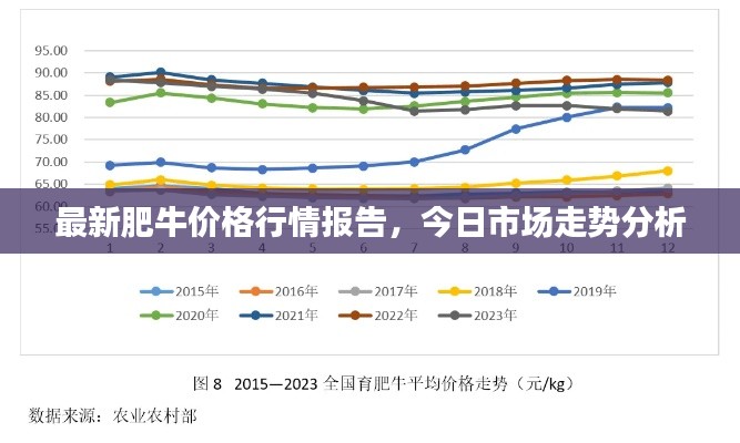 最新肥牛价格行情报告，今日市场走势分析