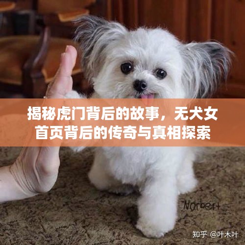 揭秘虎门背后的故事，无犬女首页背后的传奇与真相探索