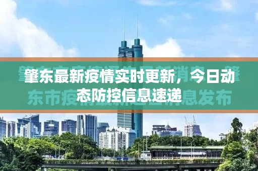 肇东最新疫情实时更新，今日动态防控信息速递