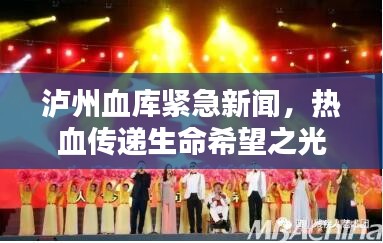泸州血库紧急新闻，热血传递生命希望之光