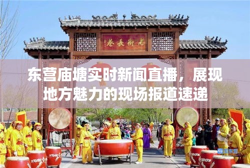 东营庙塘实时新闻直播，展现地方魅力的现场报道速递