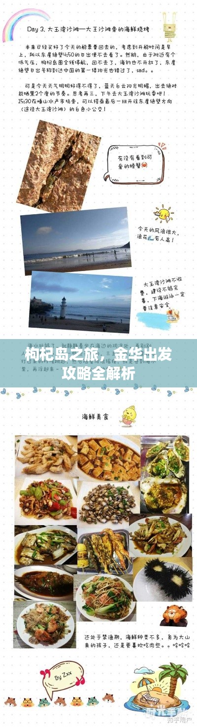 枸杞岛之旅，金华出发攻略全解析