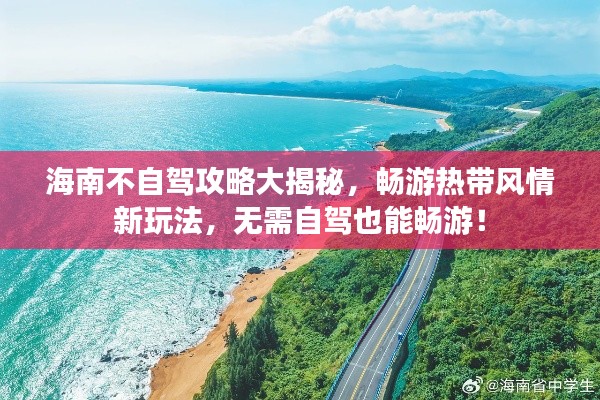 海南不自驾攻略大揭秘，畅游热带风情新玩法，无需自驾也能畅游！