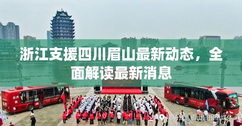 浙江支援四川眉山最新动态，全面解读最新消息