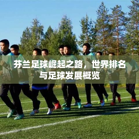 芬兰足球崛起之路，世界排名与足球发展概览