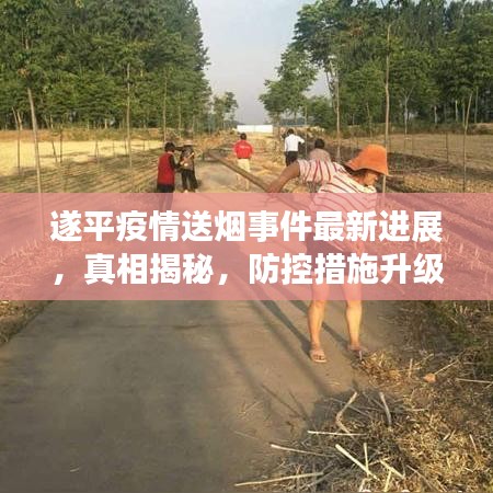 遂平疫情送烟事件最新进展，真相揭秘，防控措施升级