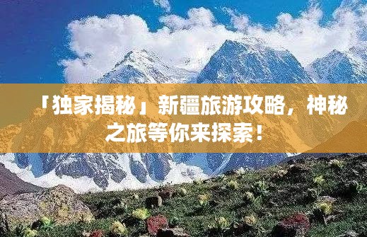 「独家揭秘」新疆旅游攻略，神秘之旅等你来探索！
