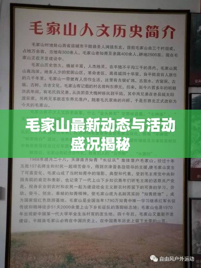 毛家山最新动态与活动盛况揭秘
