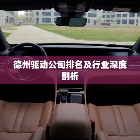 德州驱动公司排名及行业深度剖析