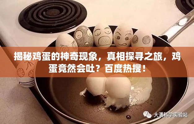 揭秘鸡蛋的神奇现象，真相探寻之旅，鸡蛋竟然会吐？百度热搜！