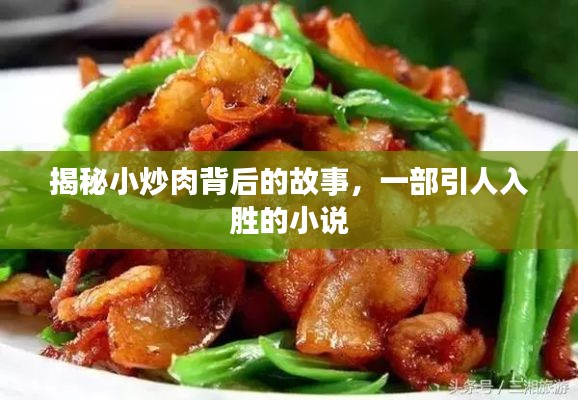 揭秘小炒肉背后的故事，一部引人入胜的小说