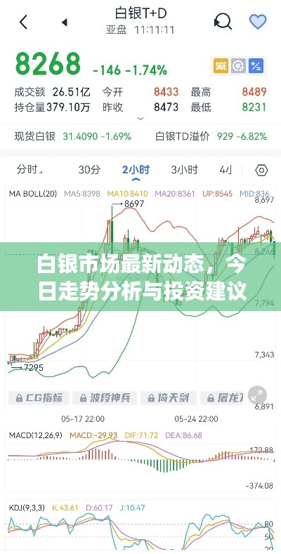 白银市场最新动态，今日走势分析与投资建议速递