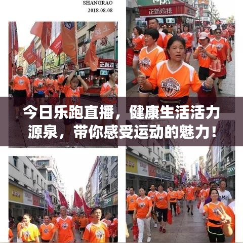 今日乐跑直播，健康生活活力源泉，带你感受运动的魅力！
