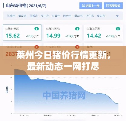 莱州今日猪价行情更新，最新动态一网打尽