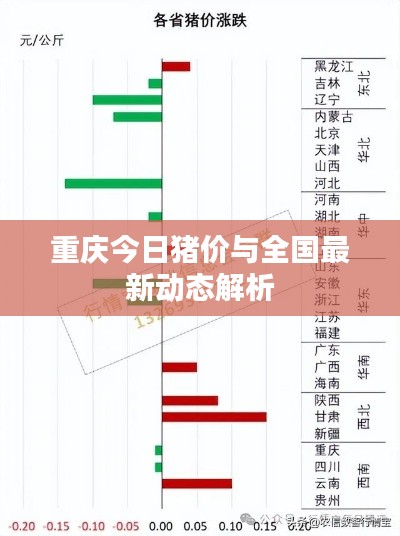 重庆今日猪价与全国最新动态解析