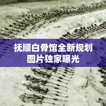 抚顺白骨馆全新规划图片独家曝光
