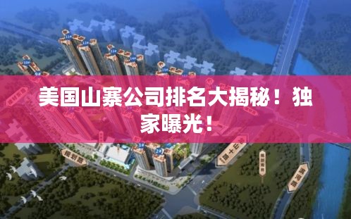 美国山寨公司排名大揭秘！独家曝光！