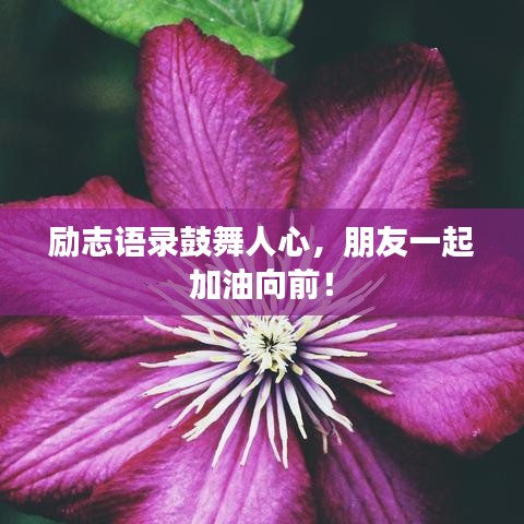 励志语录鼓舞人心，朋友一起加油向前！