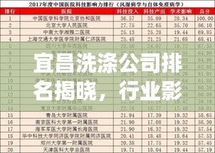 宜昌洗涤公司排名揭晓，行业影响力榜单重磅出炉