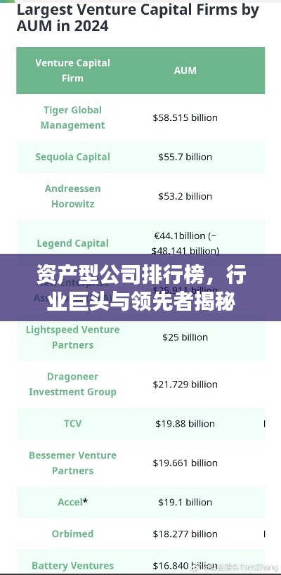 资产型公司排行榜，行业巨头与领先者揭秘