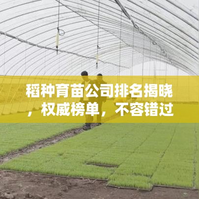 稻种育苗公司排名揭晓，权威榜单，不容错过！
