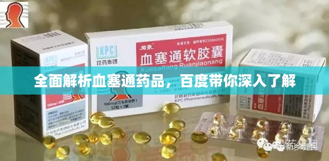 全面解析血塞通药品，百度带你深入了解