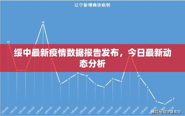 绥中最新疫情数据报告发布，今日最新动态分析