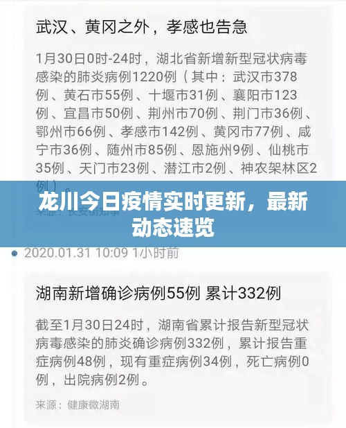 龙川今日疫情实时更新，最新动态速览