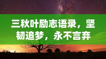 三秋叶励志语录，坚韧追梦，永不言弃的力量之源