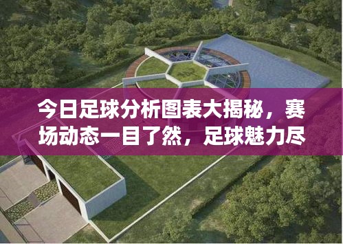今日足球分析图表大揭秘，赛场动态一目了然，足球魅力尽收眼底