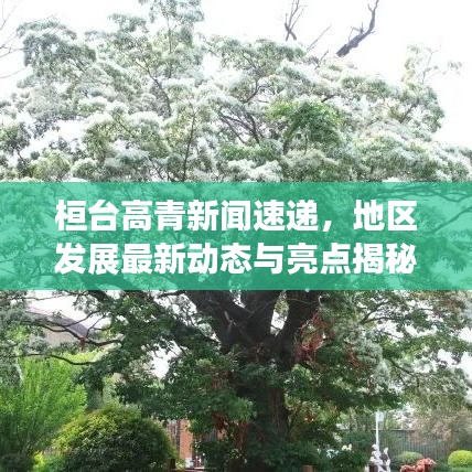 桓台高青新闻速递，地区发展最新动态与亮点揭秘