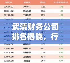 武清财务公司排名揭晓，行业佼佼者一览无余