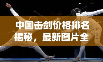 中国击剑价格排名揭秘，最新图片全面解析