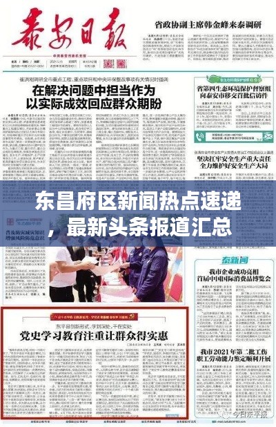 东昌府区新闻热点速递，最新头条报道汇总