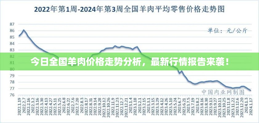今日全国羊肉价格走势分析，最新行情报告来袭！