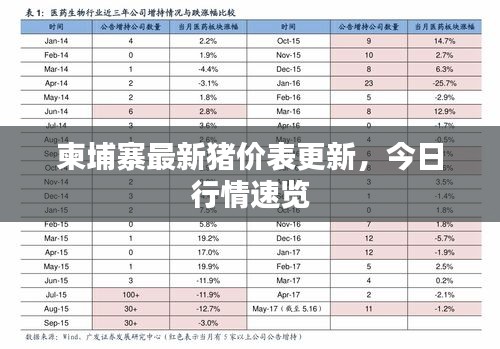 柬埔寨最新猪价表更新，今日行情速览
